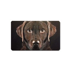 Chocolate Lab Magnet (name Card)