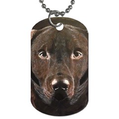 Chocolate Lab Dog Tag (one Sided) by LabsandRetrievers