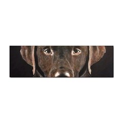 Chocolate Lab Bumper Sticker 10 Pack by LabsandRetrievers