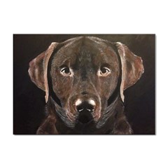 Chocolate Lab A4 Sticker 10 Pack by LabsandRetrievers