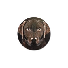 Chocolate Lab Golf Ball Marker