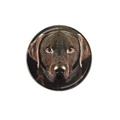 Chocolate Lab Golf Ball Marker 4 Pack (for Hat Clip)