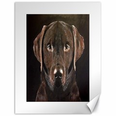 Chocolate Lab Canvas 18  X 24  (unframed)