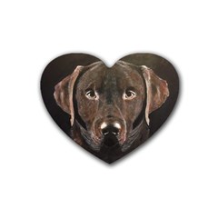 Chocolate Lab Drink Coasters 4 Pack (heart) 