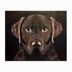 Chocolate Lab Glasses Cloth (small, Two Sided)