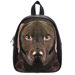 Chocolate Lab School Bag (small)