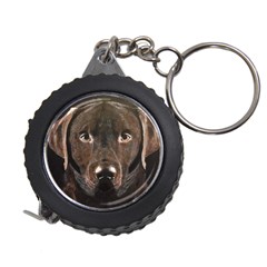 Chocolate Lab Measuring Tape