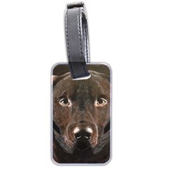 Chocolate Lab Luggage Tag (two Sides) by LabsandRetrievers