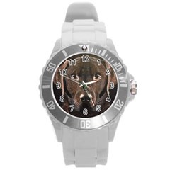 Chocolate Lab Plastic Sport Watch (large)