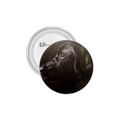 Black Lab 1 75  Button