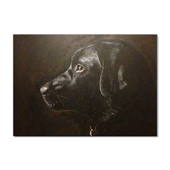 Black Lab A4 Sticker 100 Pack