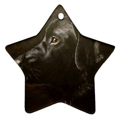 Black Lab Star Ornament (two Sides)