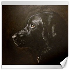 Black Lab Canvas 16  X 16  (unframed)