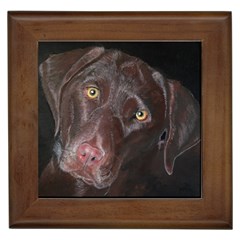 Inquisitive Chocolate Lab Framed Ceramic Tile by LabsandRetrievers