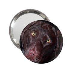 Inquisitive Chocolate Lab Handbag Mirror (2 25 ) by LabsandRetrievers