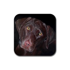 Inquisitive Chocolate Lab Drink Coasters 4 Pack (square) by LabsandRetrievers