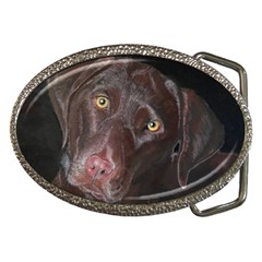 Inquisitive Chocolate Lab Belt Buckle (oval)