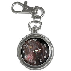 Inquisitive Chocolate Lab Key Chain Watch