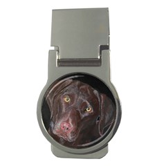 Inquisitive Chocolate Lab Money Clip (round) by LabsandRetrievers