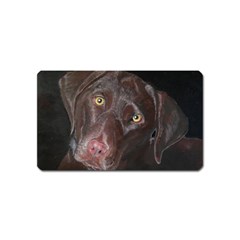 Inquisitive Chocolate Lab Magnet (name Card)