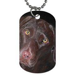 Inquisitive Chocolate Lab Dog Tag (one Sided) by LabsandRetrievers