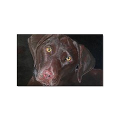 Inquisitive Chocolate Lab Sticker 10 Pack (rectangle)