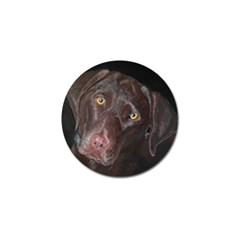 Inquisitive Chocolate Lab Golf Ball Marker 10 Pack by LabsandRetrievers