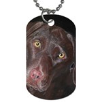 Inquisitive Chocolate Lab Dog Tag (Two-sided)  Front