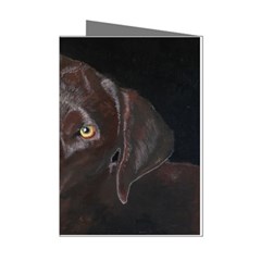 Inquisitive Chocolate Lab Mini Greeting Card (8 Pack)