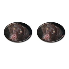 Inquisitive Chocolate Lab Cufflinks (oval)