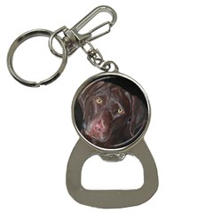 Inquisitive Chocolate Lab Bottle Opener Key Chain