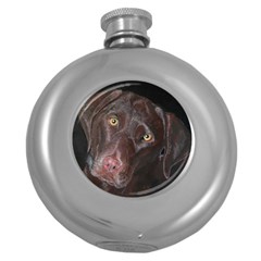 Inquisitive Chocolate Lab Hip Flask (round)