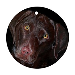 Inquisitive Chocolate Lab Round Ornament (two Sides) by LabsandRetrievers