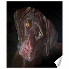 Inquisitive Chocolate Lab Canvas 8  X 10  (unframed)