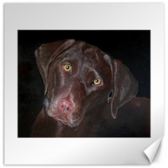 Inquisitive Chocolate Lab Canvas 20  X 20  (unframed)