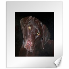 Inquisitive Chocolate Lab Canvas 20  X 24  (unframed)