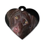 Inquisitive Chocolate Lab Dog Tag Heart (One Sided)  Front