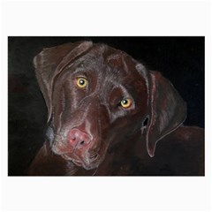 Inquisitive Chocolate Lab Glasses Cloth (large)