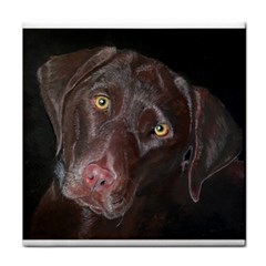 Inquisitive Chocolate Lab Face Towel by LabsandRetrievers