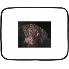 Inquisitive Chocolate Lab Mini Fleece Blanket (two Sided) by LabsandRetrievers