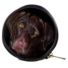 Inquisitive Chocolate Lab Mini Makeup Case