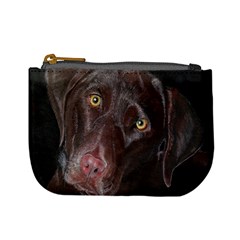 Inquisitive Chocolate Lab Coin Change Purse by LabsandRetrievers