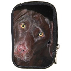 Inquisitive Chocolate Lab Compact Camera Leather Case