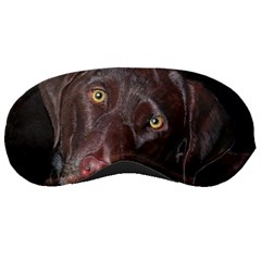 Inquisitive Chocolate Lab Sleeping Mask