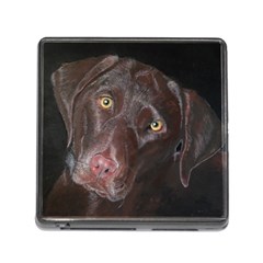 Inquisitive Chocolate Lab Memory Card Reader With Storage (square)