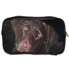 Inquisitive Chocolate Lab Travel Toiletry Bag (two Sides)