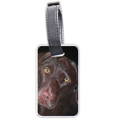 Inquisitive Chocolate Lab Luggage Tag (one Side) by LabsandRetrievers