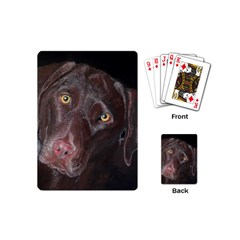 Inquisitive Chocolate Lab Playing Cards (mini)