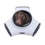 Inquisitive Chocolate Lab 3 Port USB Hub Front