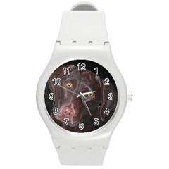 Inquisitive Chocolate Lab Plastic Sport Watch (medium)